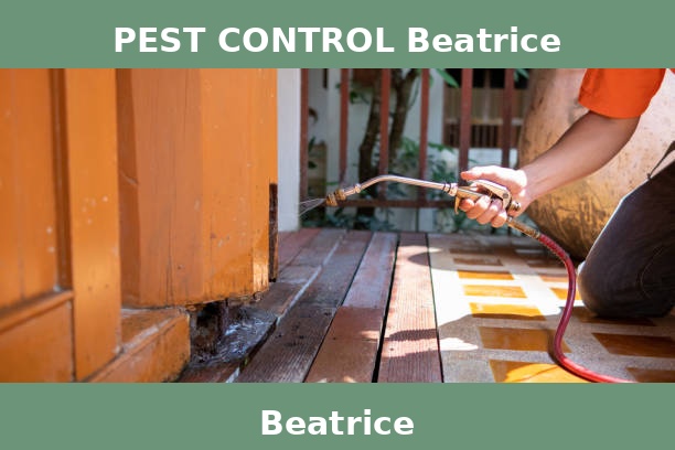 PEST CONTROL Beatrice